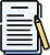 Essay Help